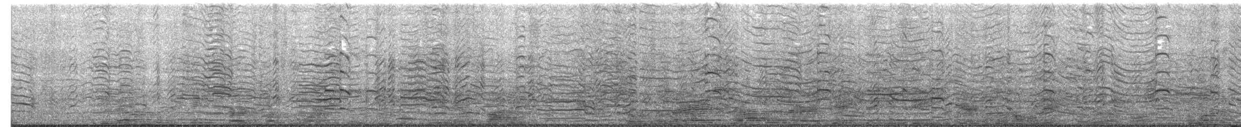 Black-legged Kittiwake - ML649561589