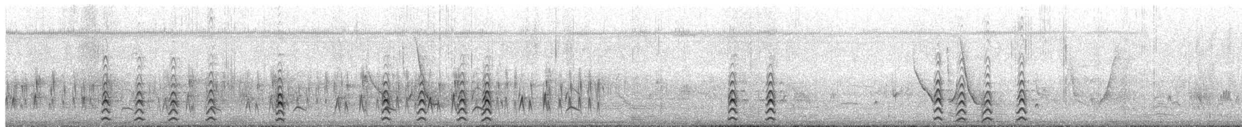 Black-necked Stilt - ML649561653