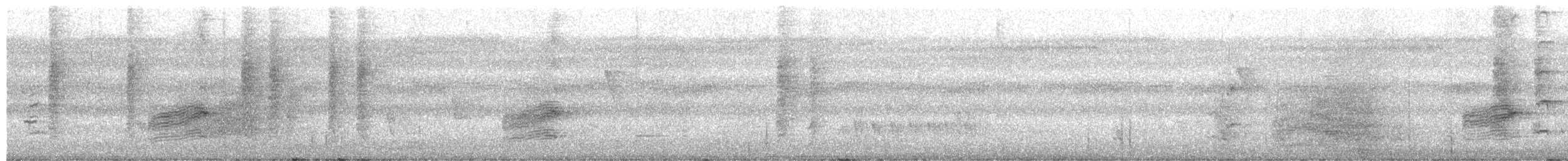 Shining Flycatcher - ML649561698