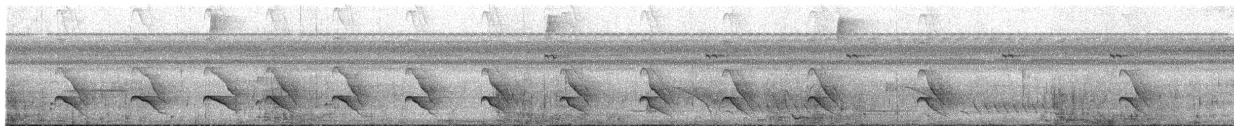 Tropical Royal Flycatcher - ML649561761