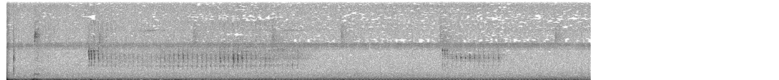 Belted Kingfisher - ML649561834