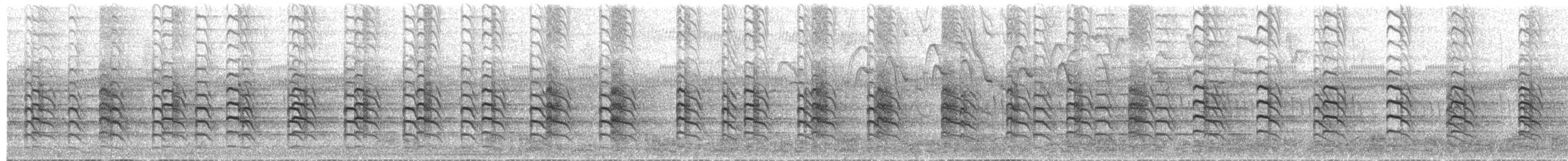 Southern Lapwing - ML649562432