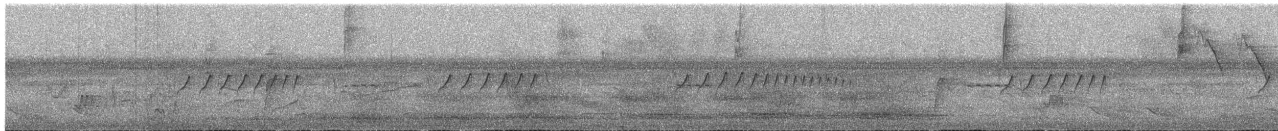 White-lored Tyrannulet - ML649562480