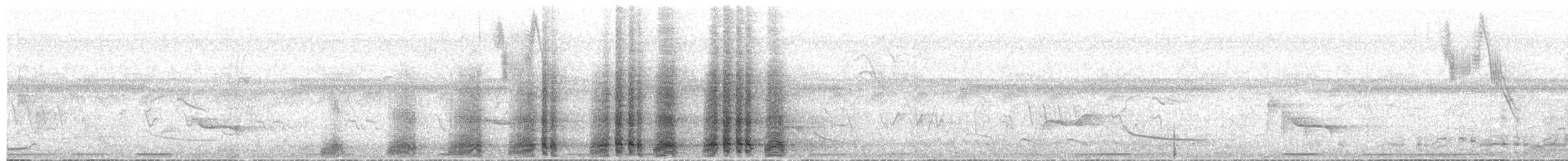 Speckled Chachalaca - ML649562494