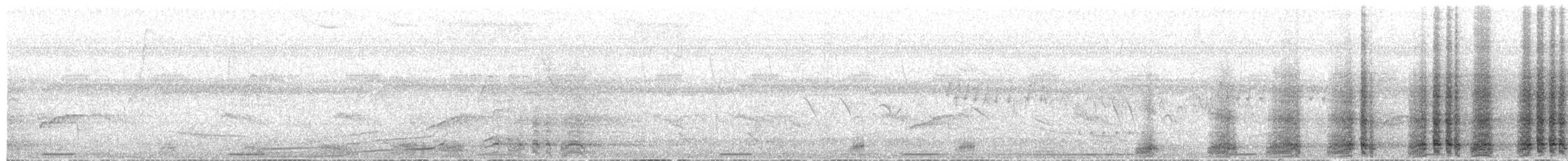 Speckled Chachalaca - ML649562512