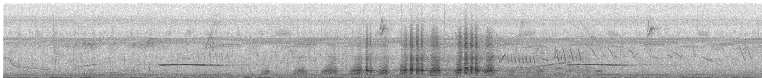 Little Tinamou - ML649562525