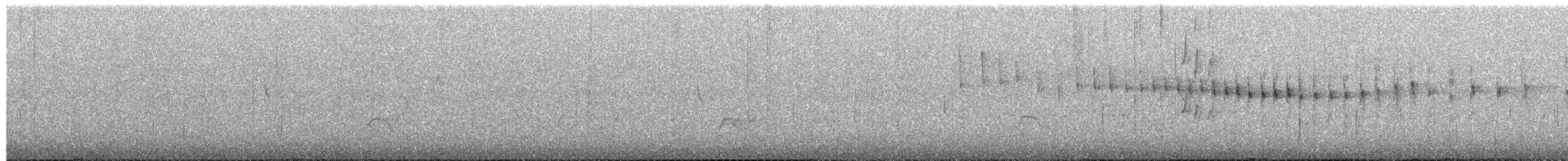 Dusky-tailed Canastero - ML649562534