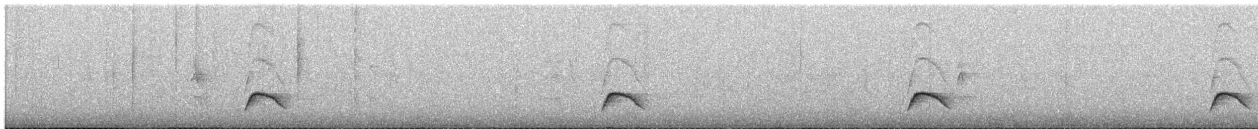 White-crested Elaenia - ML649562576