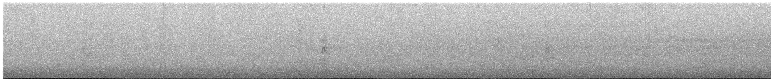 Band-tailed Sierra Finch - ML649562620