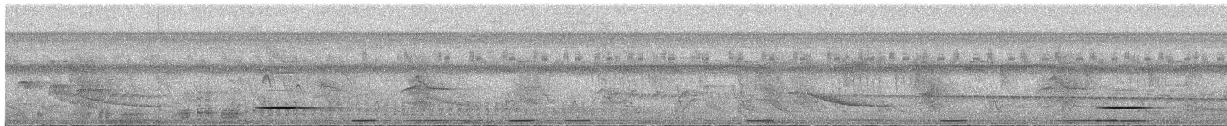 Cinereous Tinamou - ML649562629