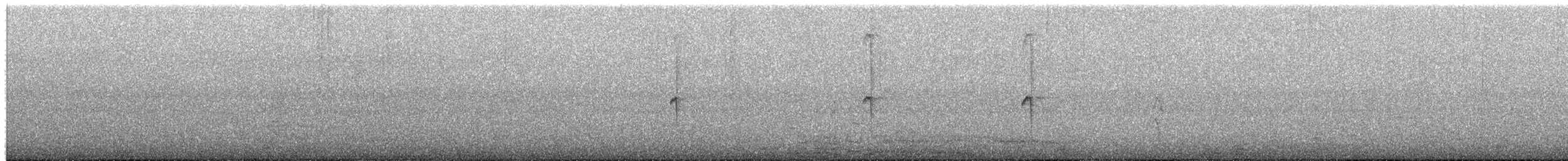 Giant Hummingbird - ML649562630