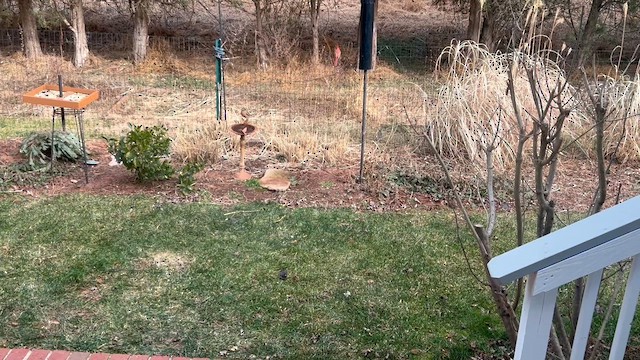 Junco Ojioscuro - ML649569502