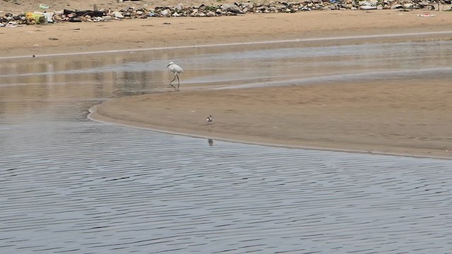 Andarríos Chico - ML649570621