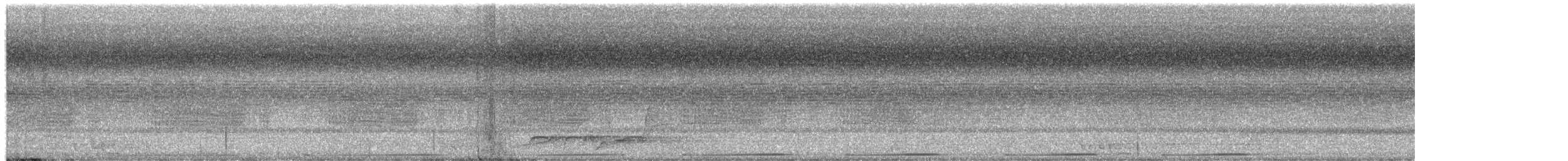 Австралийская изумрудная горлица - ML649570729