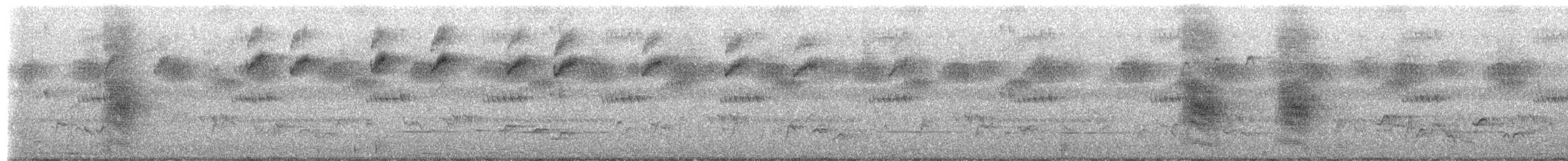 セグロフクレヤブモズ - ML649571857