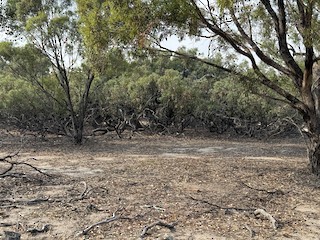 Mt Rothwell (restricted access), Greater Geelong, Victoria, Australia ...