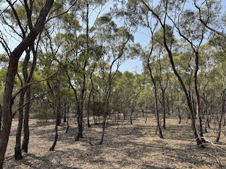 Mt Rothwell (restricted access), Greater Geelong, Victoria, Australia ...