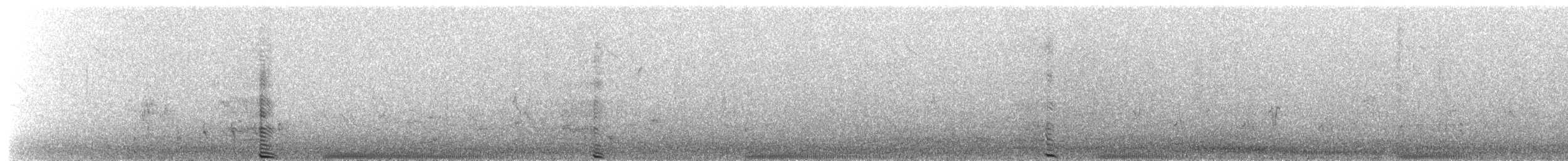 Lewin's Rail - ML649574043