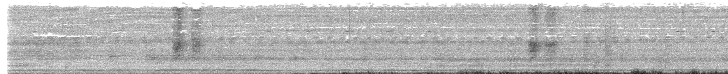 lejskovec rajský - ML649574459