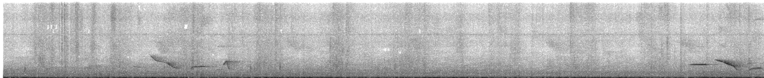 Black-throated Wren - ML649576706