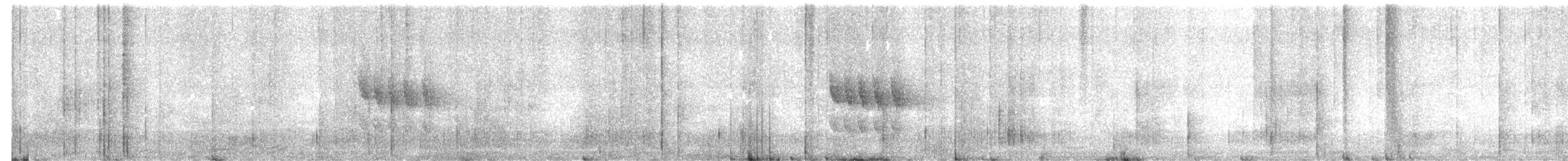 Silvery-fronted Tapaculo - ML649577146