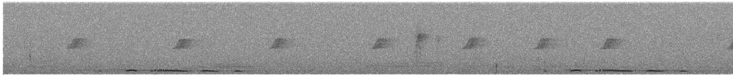 Spotted Dove (Eastern) - ML649577252