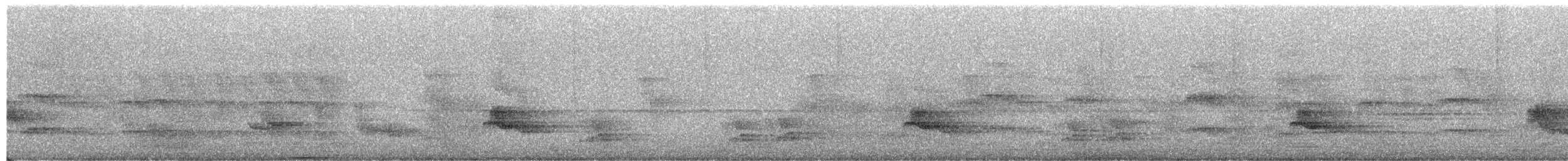 Jungle Babbler - ML649577710