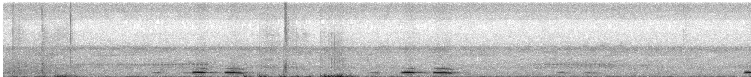 Australian Boobook (Boobook) - ML649577783