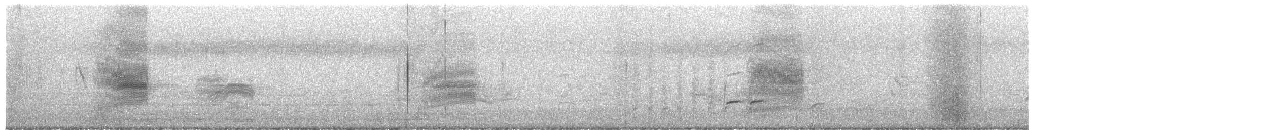 Indian Pied Starling - ML649577851