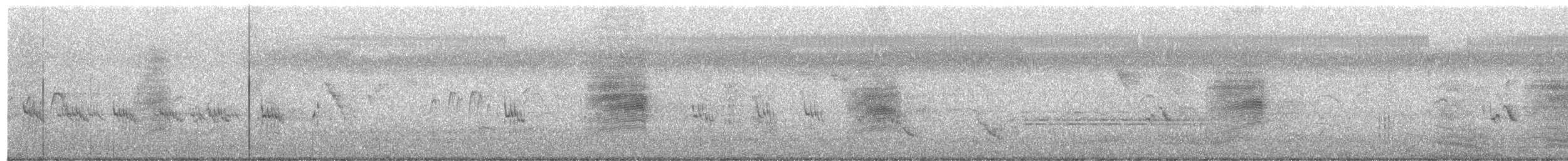 Indian Pied Starling - ML649577868