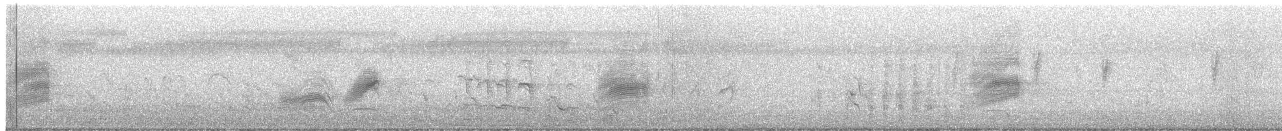 Indian Pied Starling - ML649577875