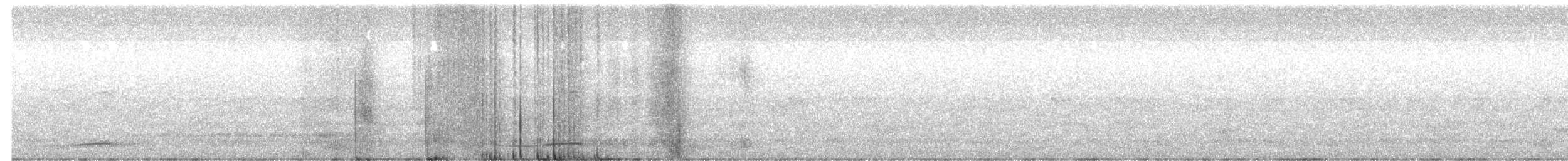 Pacific Koel (Australian) - ML649577895