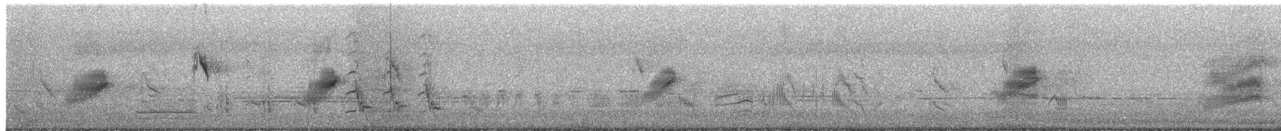 Indian Pied Starling - ML649577897