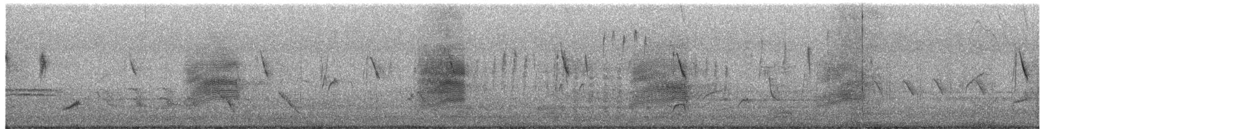 Indian Pied Starling - ML649577910