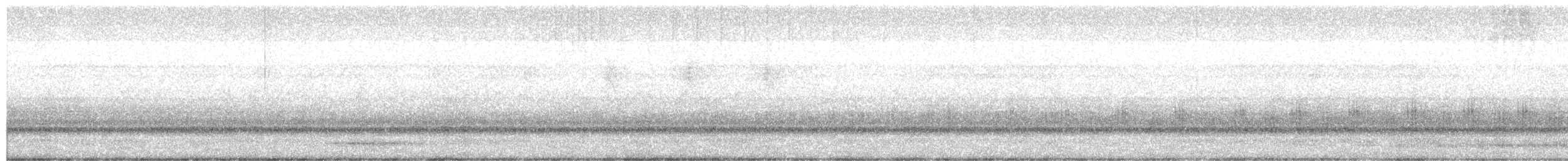 Australian Raven - ML649577931