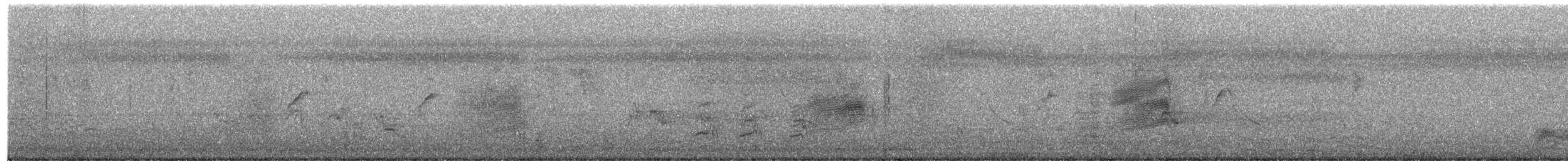 Indian Pied Starling - ML649577952