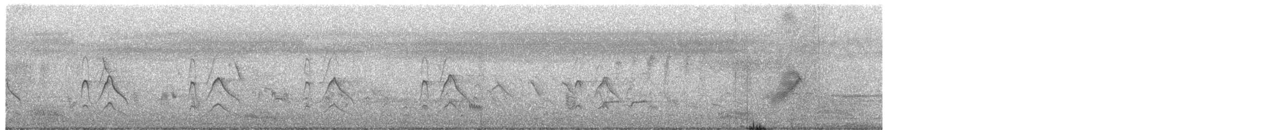 Shikra - ML649577971