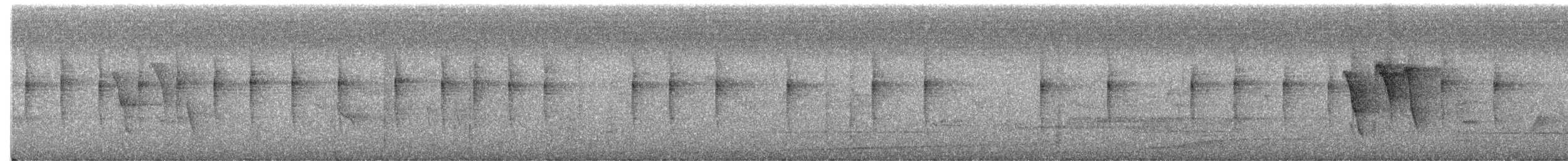 Plain Flowerpecker - ML649578060