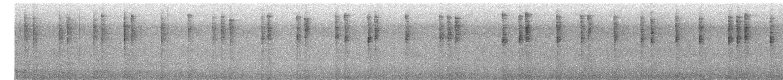 Широкохвістка далекосхідна - ML649580890