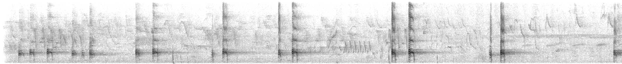 Ібіс білокрилий - ML649584079