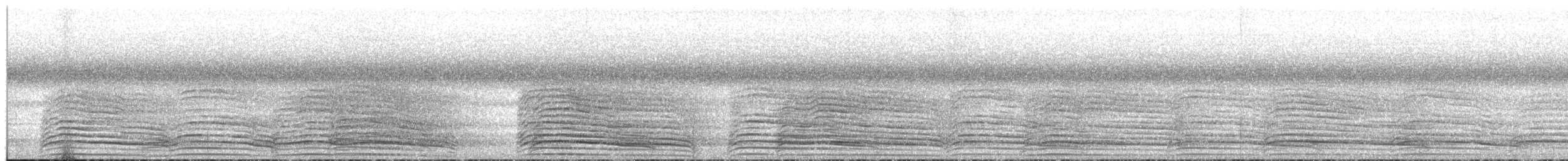 Hadada Ibis - ML649584224