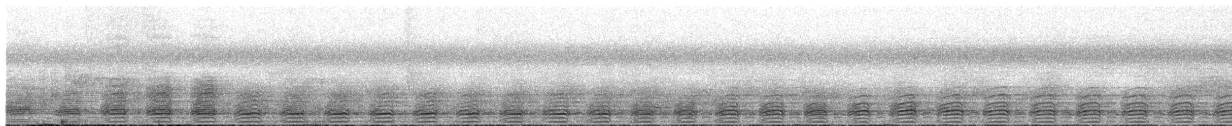 Grauwangen-Hornvogel - ML649584242