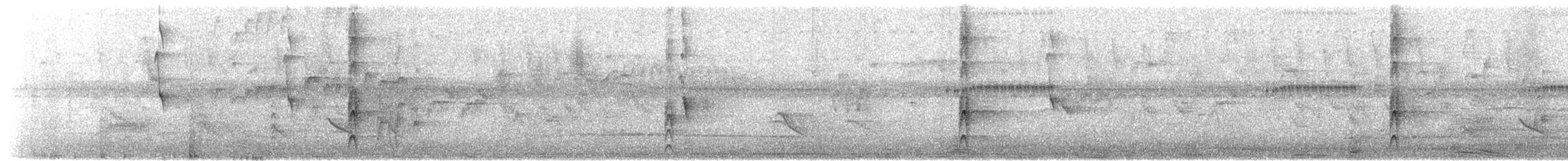 Тиран смугастий - ML649588605