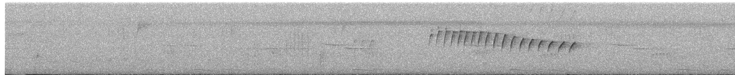 White-browed Gnatcatcher - ML649600792