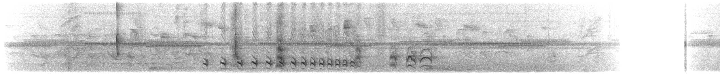 Сорокуш смугасточеревий - ML649612708