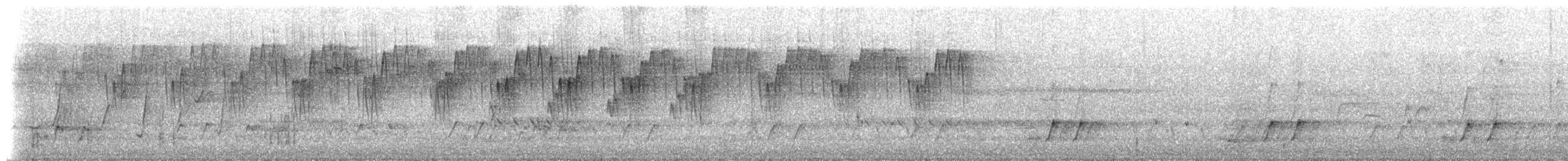 Spotted Scrubwren - ML649615577