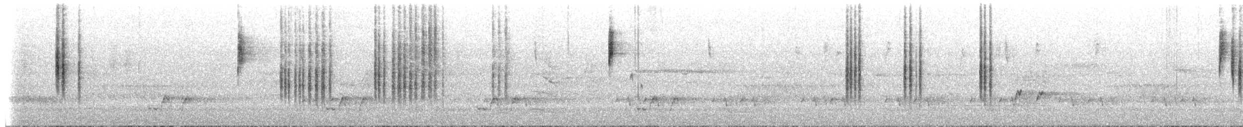 Spotted Scrubwren - ML649615640