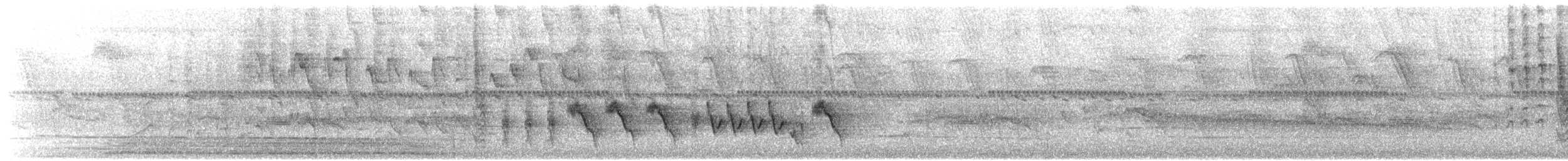 Southern House Wren - ML649616524