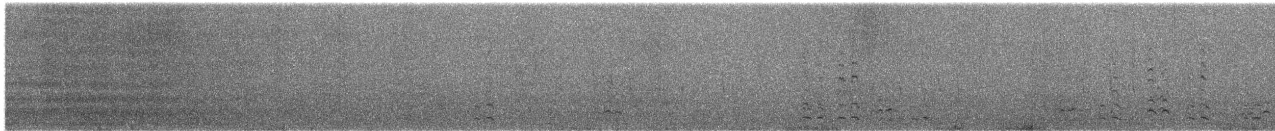 Emperor Goose - ML649618760