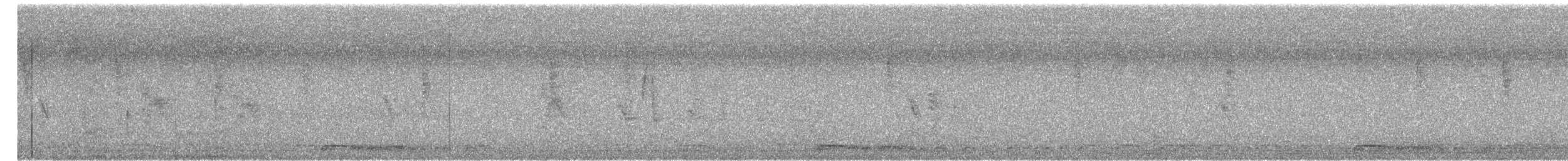 Широкохвістка китайська - ML649619875